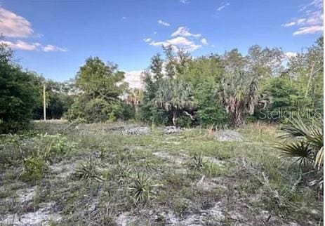 8398 W Catrina Ln, Crystal River FL, 34428 land for sale