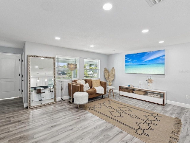 living room featuring wood-type flooring