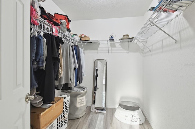 walk in closet with hardwood / wood-style flooring