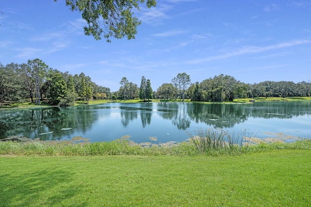 view of water feature