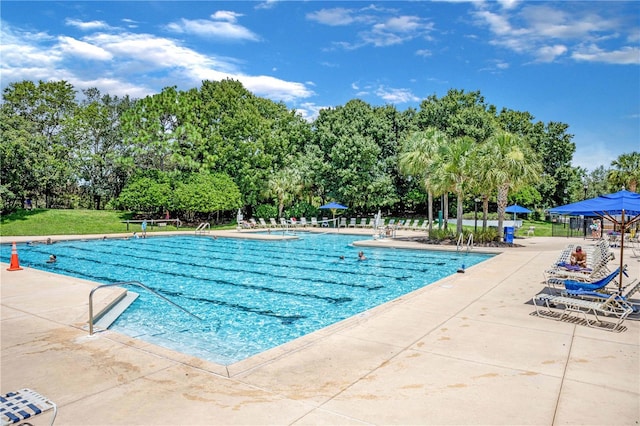 view of pool featuring a patio area