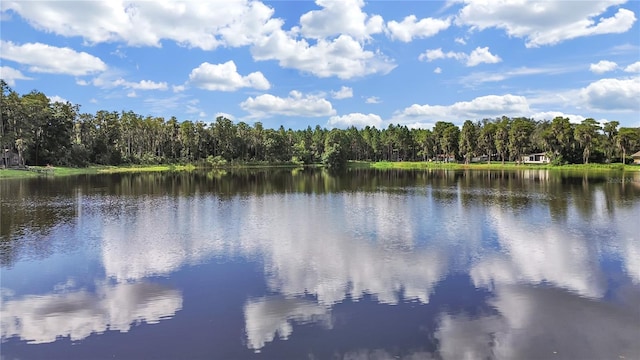 18117 Boy Scout Rd, Odessa FL, 33556 land for sale