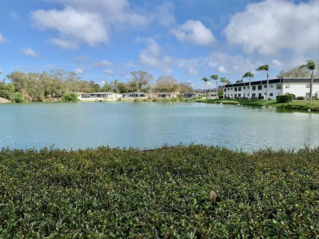 view of water feature