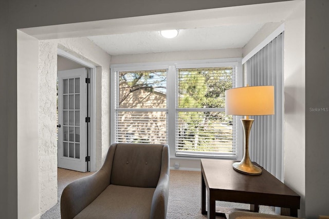 sitting room with light carpet