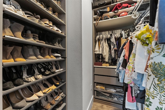 spacious closet with carpet