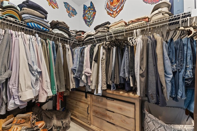 spacious closet featuring carpet floors