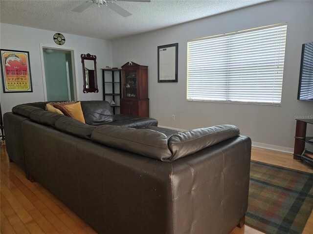1735 Tall Pine Cir, Safety Harbor, FL 34695 - photo 13