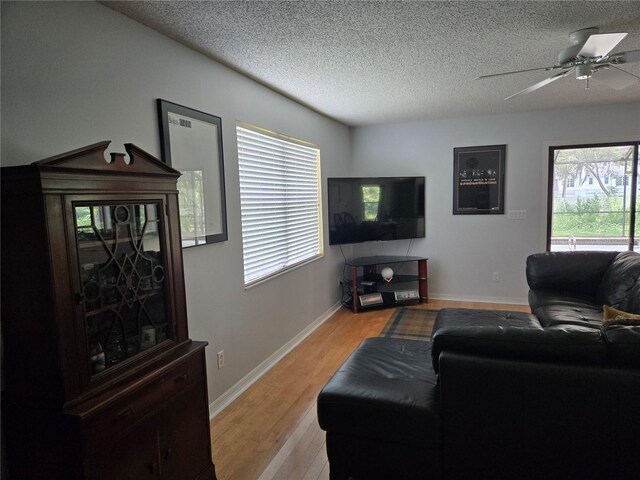 1735 Tall Pine Cir, Safety Harbor, FL 34695 - photo 15