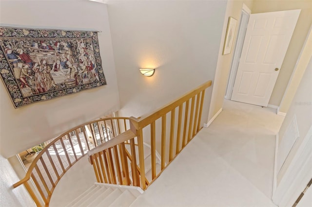 staircase featuring carpet flooring