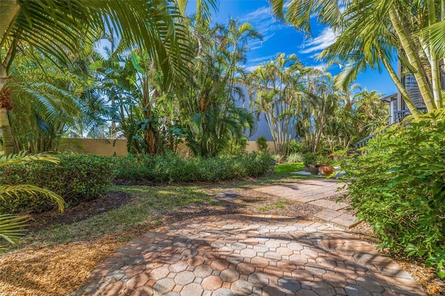 view of yard with a patio area