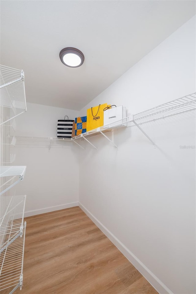 walk in closet with hardwood / wood-style flooring