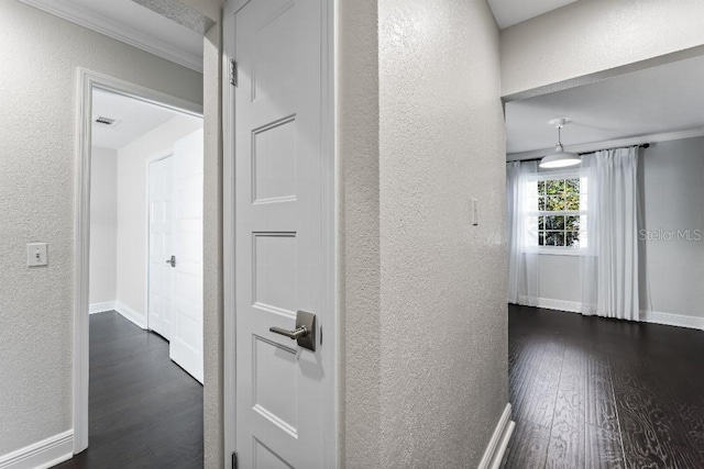 hallway with ornamental molding and dark hardwood / wood-style flooring