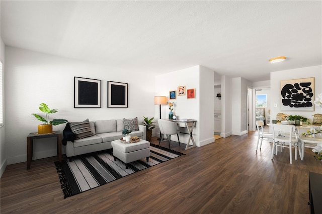 living room featuring dark wood-type flooring