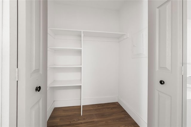 spacious closet featuring electric panel and dark hardwood / wood-style flooring