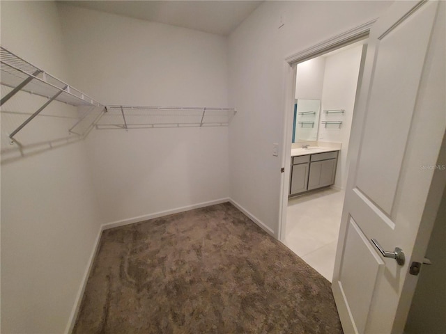 spacious closet featuring light colored carpet and sink