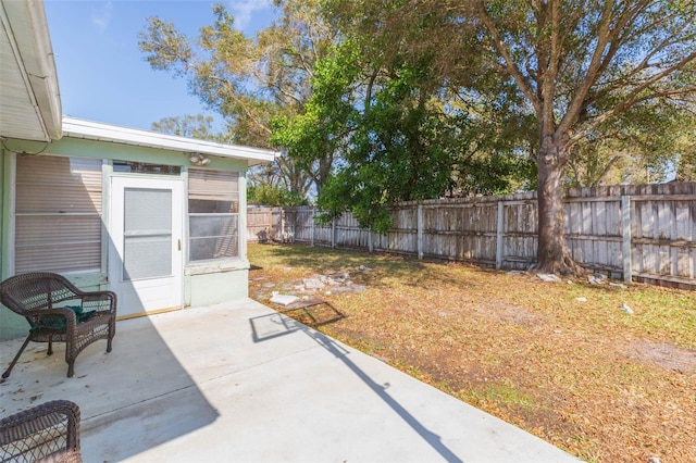 view of yard with a patio area and a fenced backyard