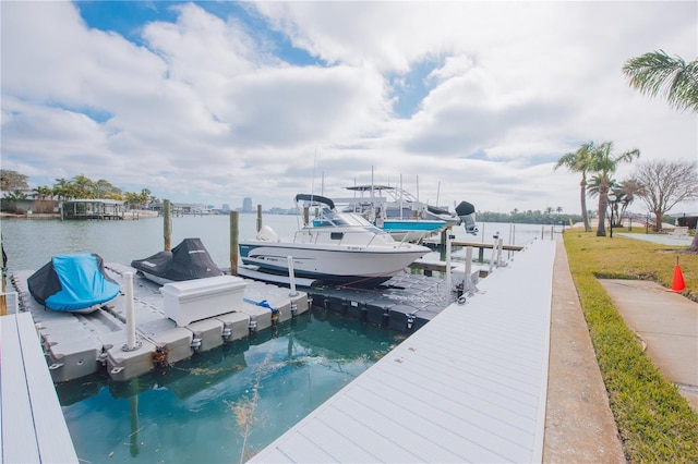 dock area with a water view