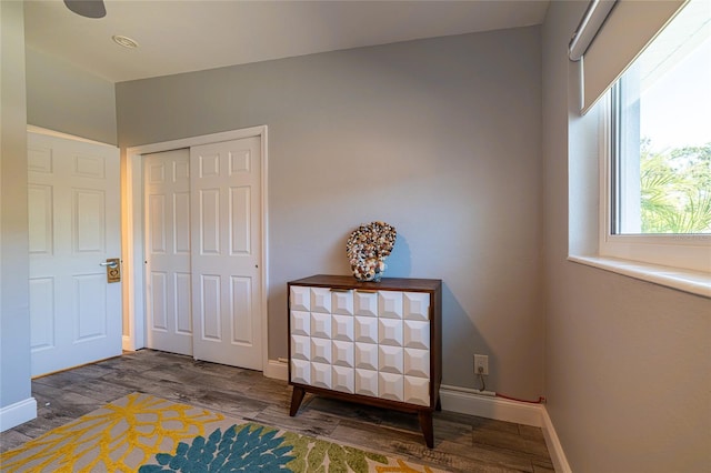 interior space featuring a closet and dark hardwood / wood-style floors