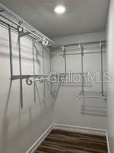 walk in closet with dark hardwood / wood-style flooring