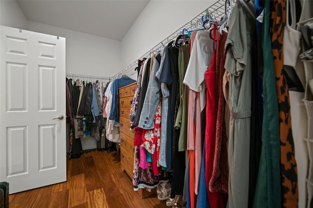 spacious closet featuring dark wood-type flooring