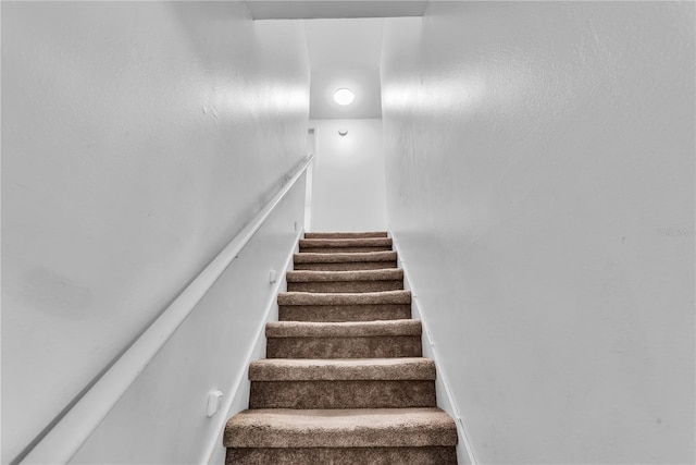 stairs with carpet floors