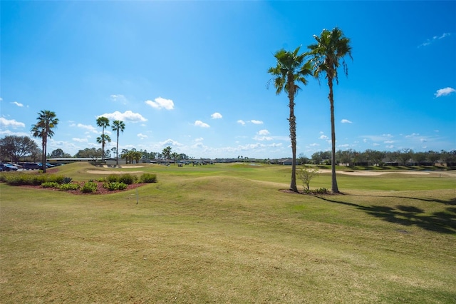 view of home's community with a lawn