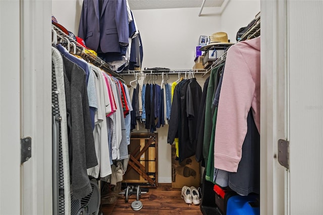 spacious closet with dark wood-type flooring