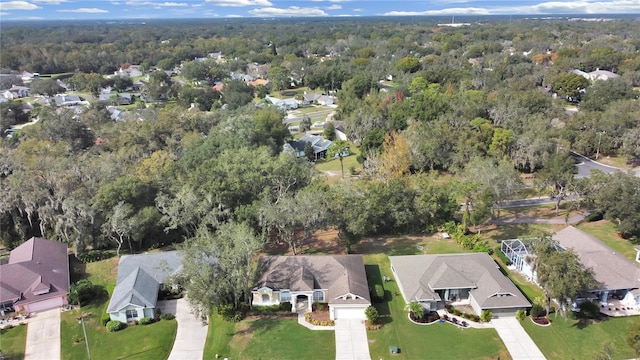 drone / aerial view