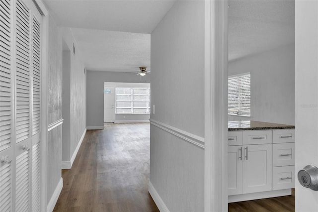 hallway with a textured ceiling and dark hardwood / wood-style flooring