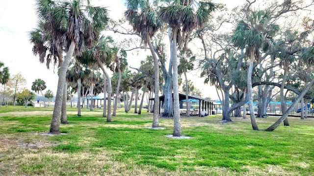 view of home's community with a yard