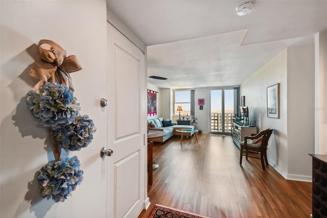 foyer with hardwood / wood-style flooring