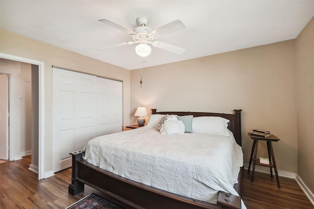 bedroom featuring ceiling fan, dark hardwood / wood-style floors, and a closet