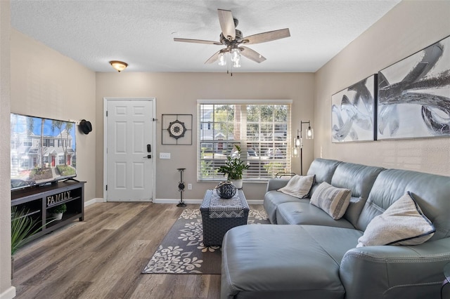 living room with ceiling fan, wood-type flooring, and a textured ceiling