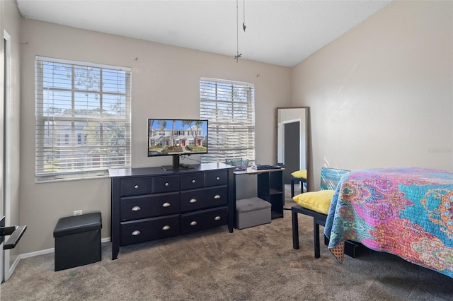 bedroom with carpet flooring