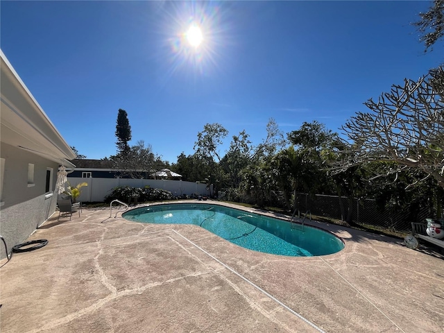 view of pool featuring a patio