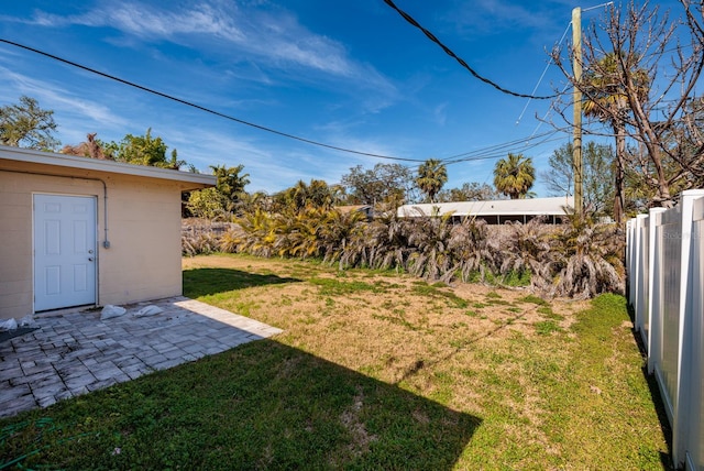 view of yard featuring a patio area