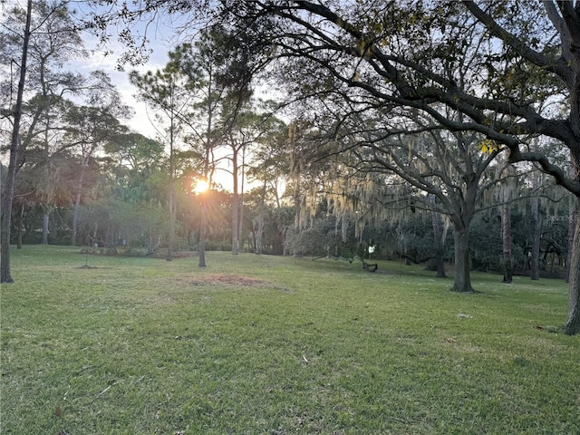 view of yard at dusk