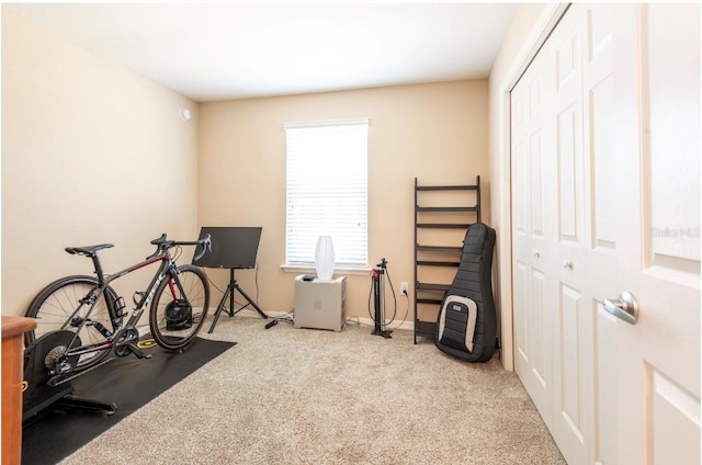 workout room with light carpet