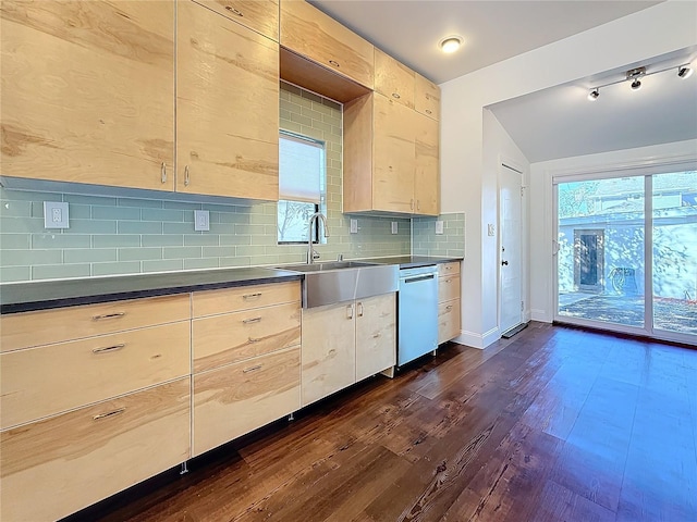 kitchen featuring dark wood-type flooring, plenty of natural light, dishwasher, and backsplash