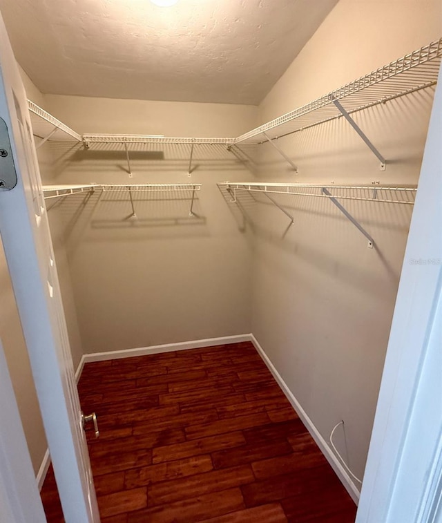 spacious closet featuring dark hardwood / wood-style floors