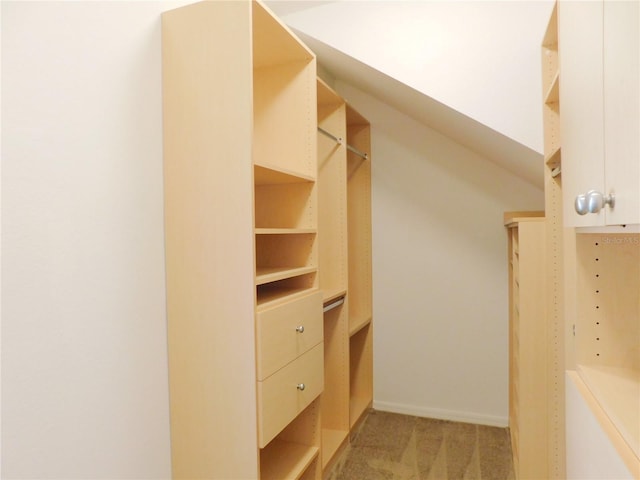 spacious closet featuring light colored carpet