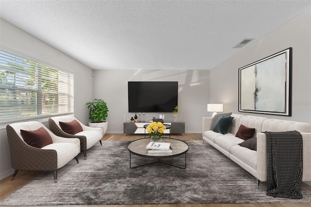 living room with hardwood / wood-style floors and a textured ceiling