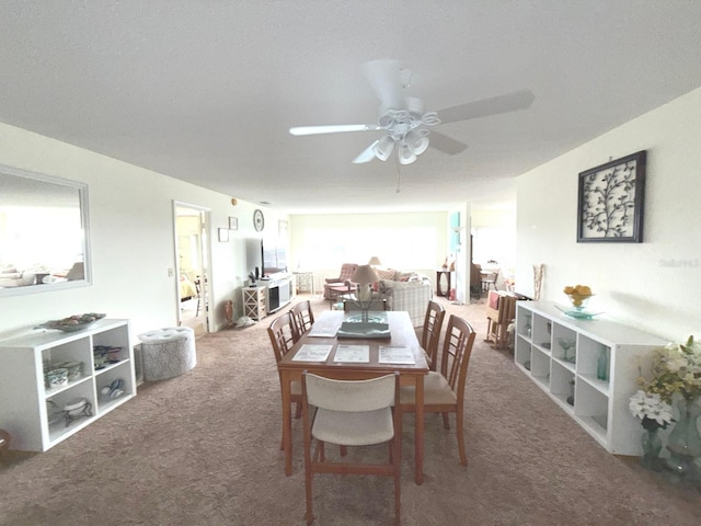 dining room featuring ceiling fan and carpet