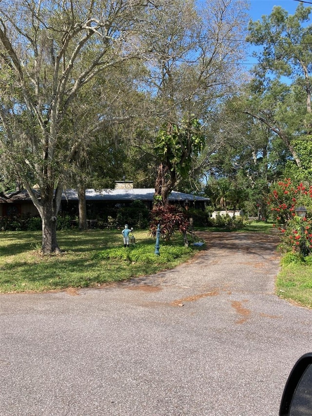 view of street featuring aphalt driveway