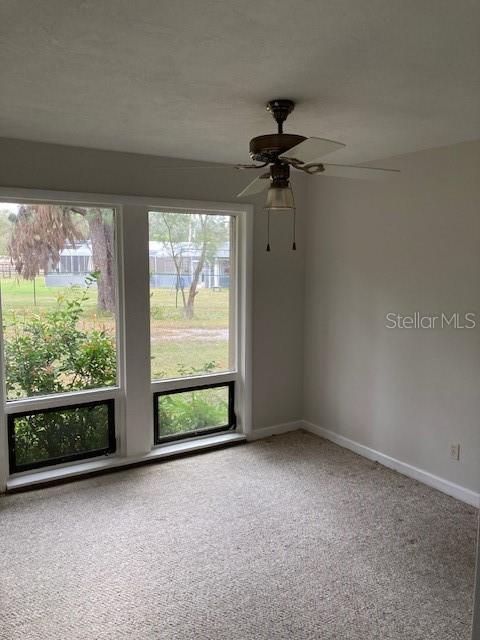 carpeted empty room featuring ceiling fan