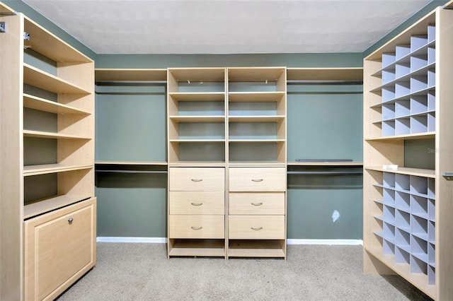 walk in closet with light colored carpet