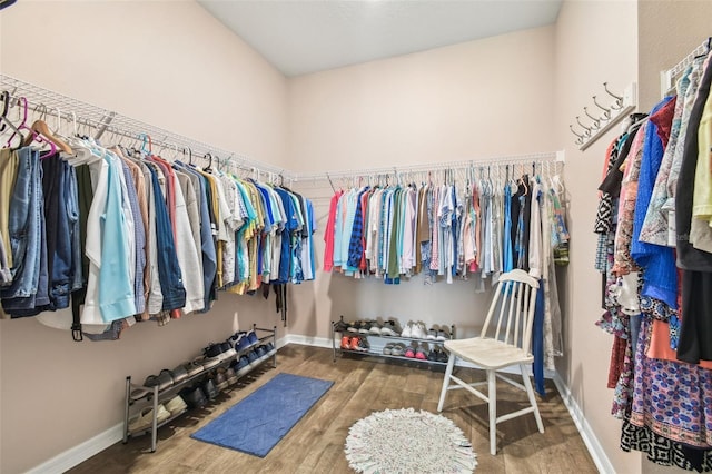 spacious closet featuring wood-type flooring