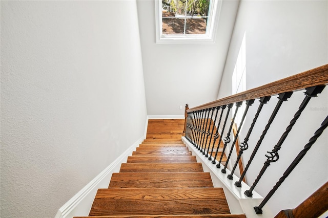 staircase featuring wood-type flooring