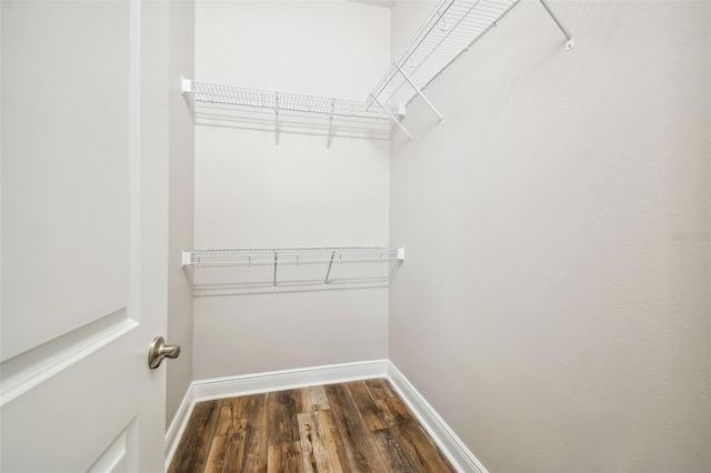 spacious closet with dark hardwood / wood-style flooring