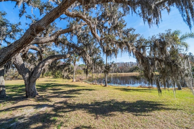 view of yard with a water view